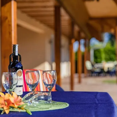 Wiesenblick 16 Lejlighed Bannemin